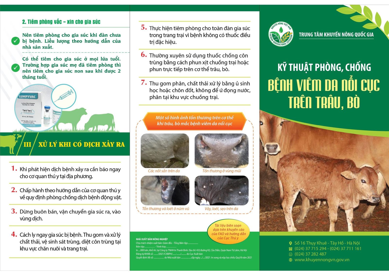 Phòng Chống Viêm Da Nổi Cục Trên Trâu Bò
